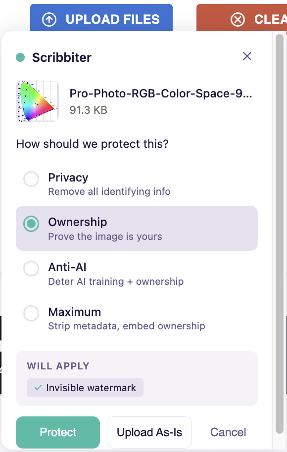 ScribShield intercepting a file upload and applying protections